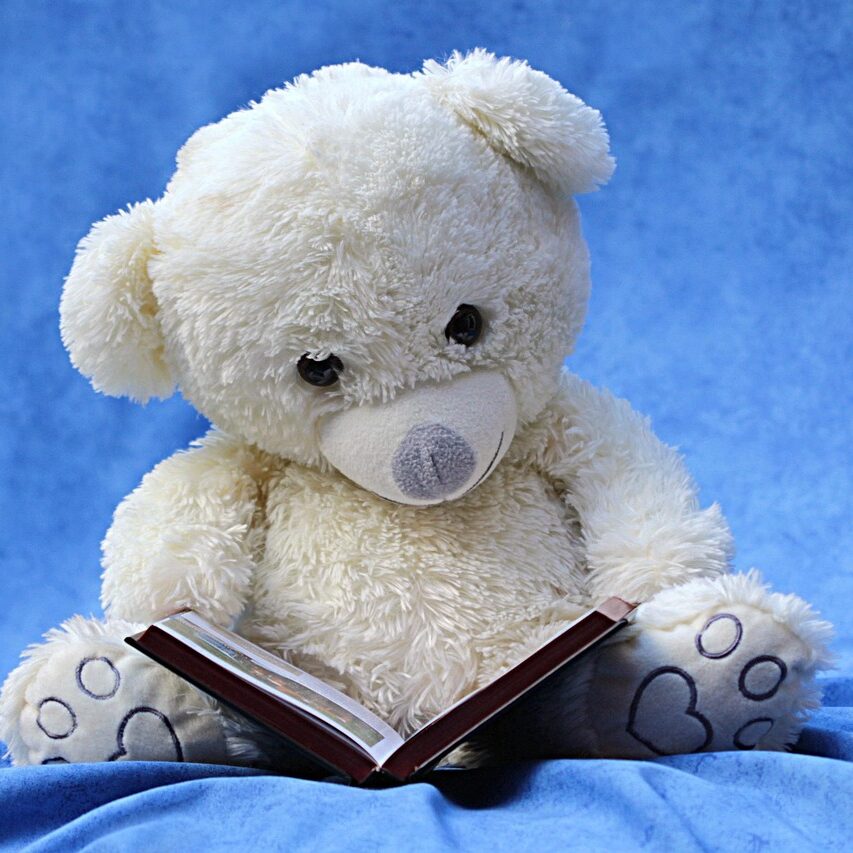 still life, teddy, white, read, a book, background blue, still life, still life, still life, teddy, teddy, teddy, teddy, teddy, a book, a book, a book, a book